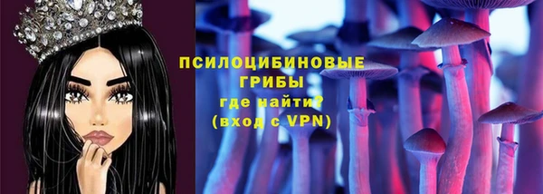 2c-b Богородск