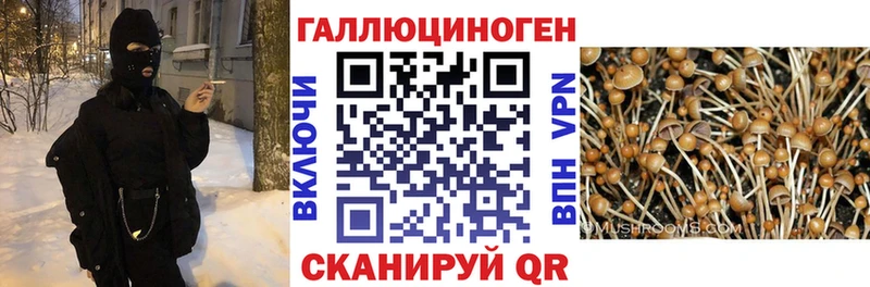 Псилоцибиновые грибы прущие грибы  купить  цена  Краснотурьинск 